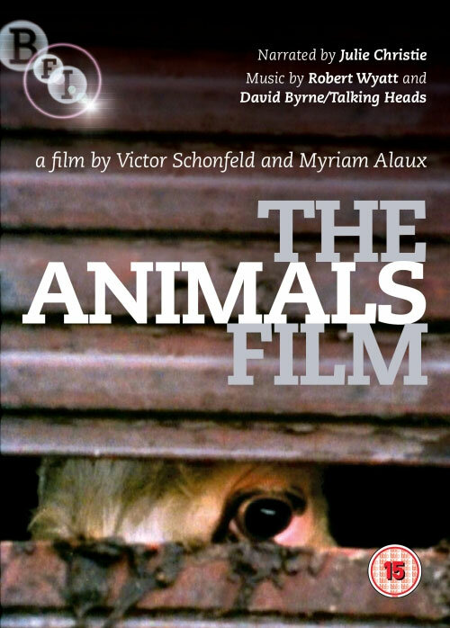 Фильм животных (1981) постер