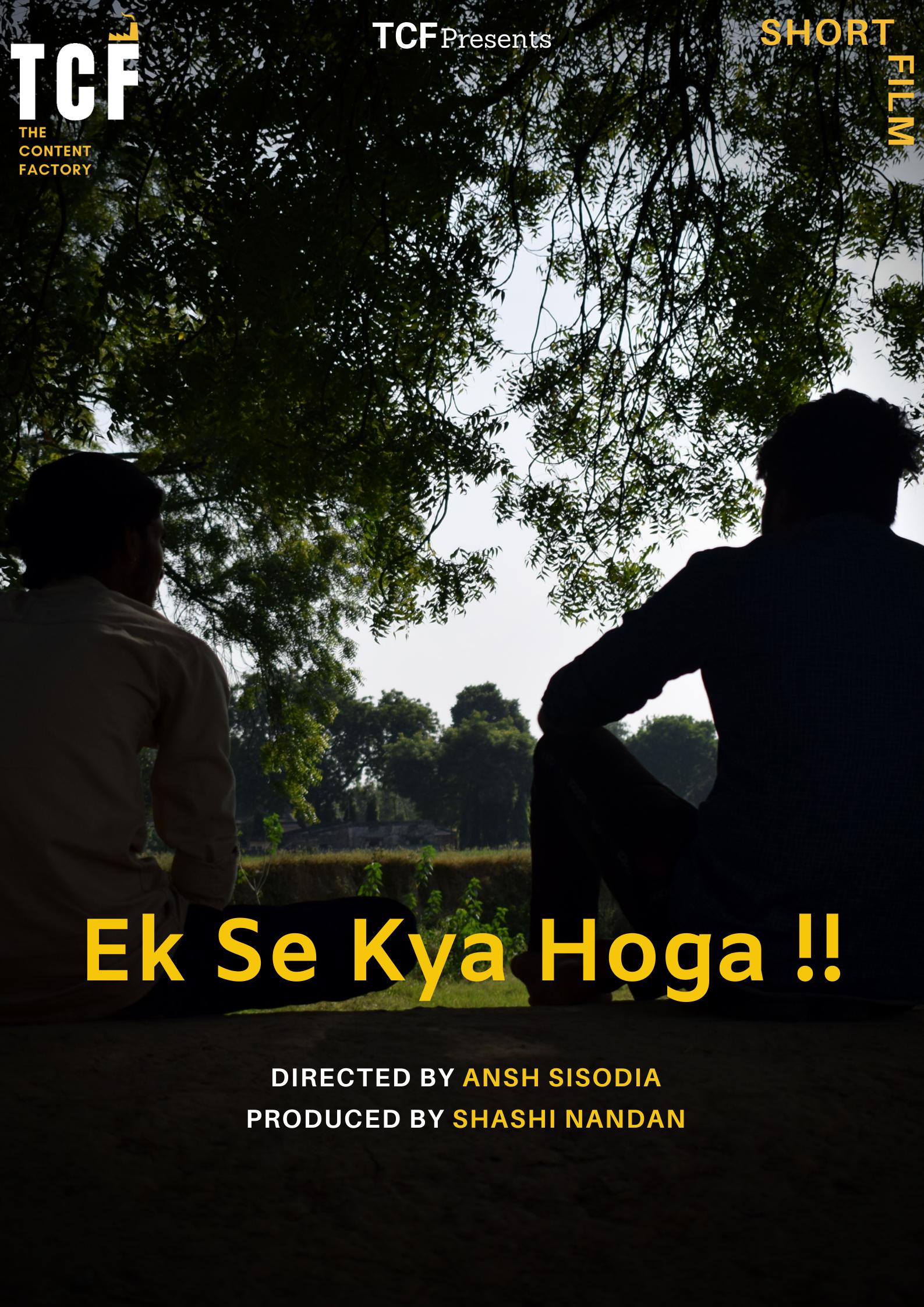 Ek Se Kya Hoga!! (2020) постер