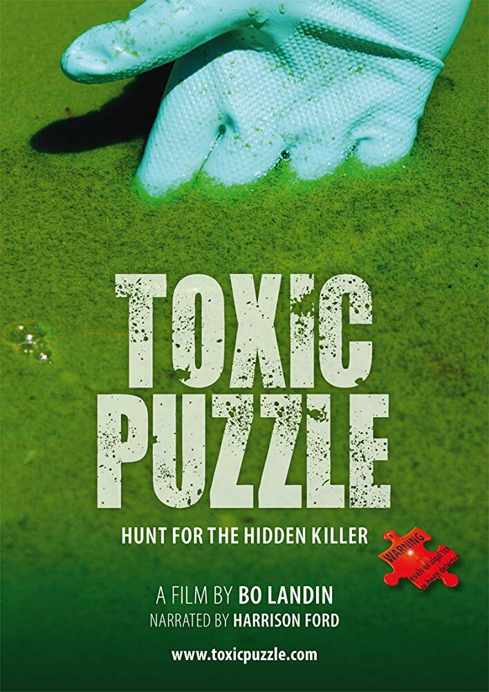 Toxic Puzzle (2017) постер