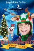 Ira Finkelstein's Christmas (2012) постер