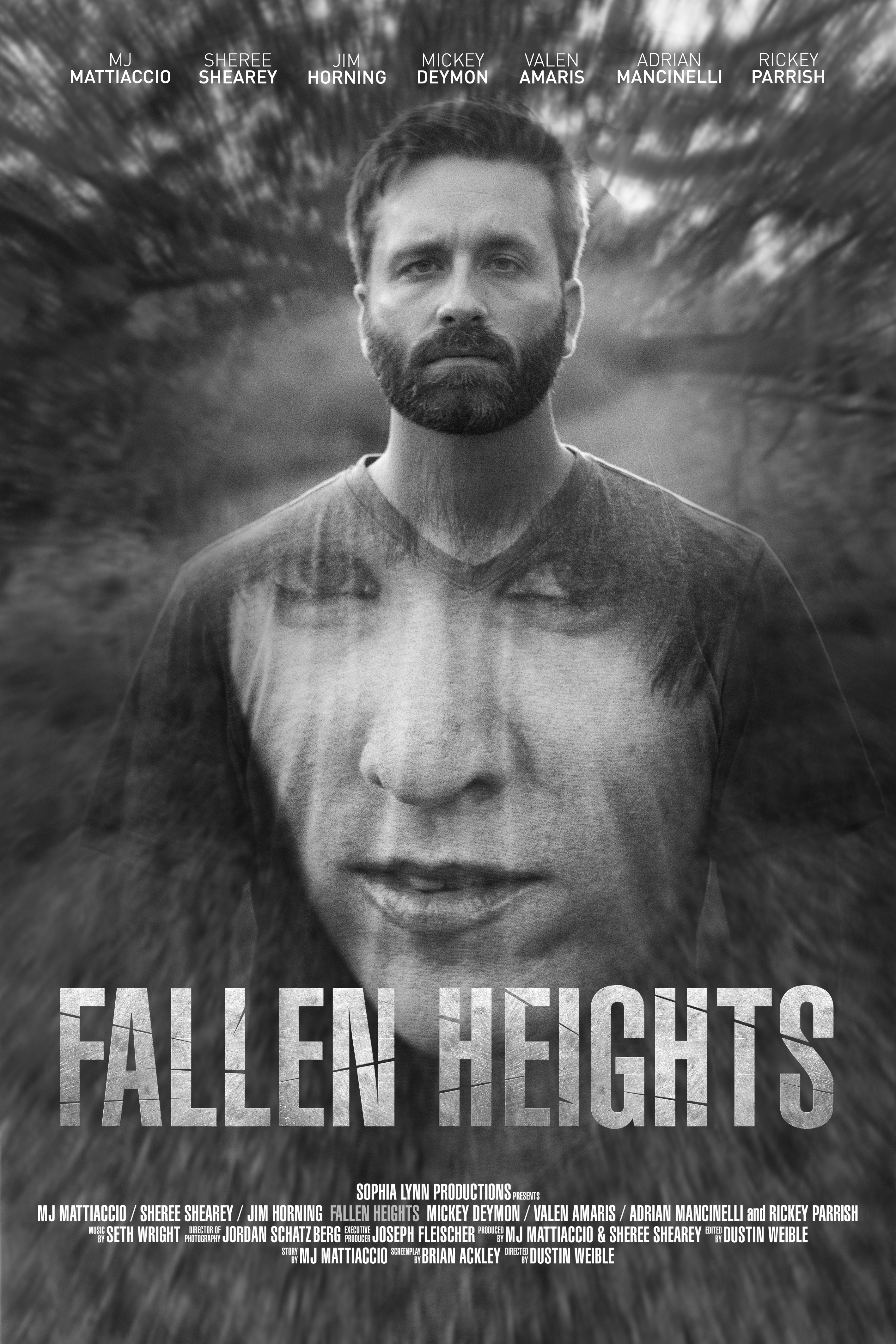 Fallen Heights (2020) постер