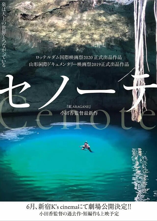 Cenote (2019) постер