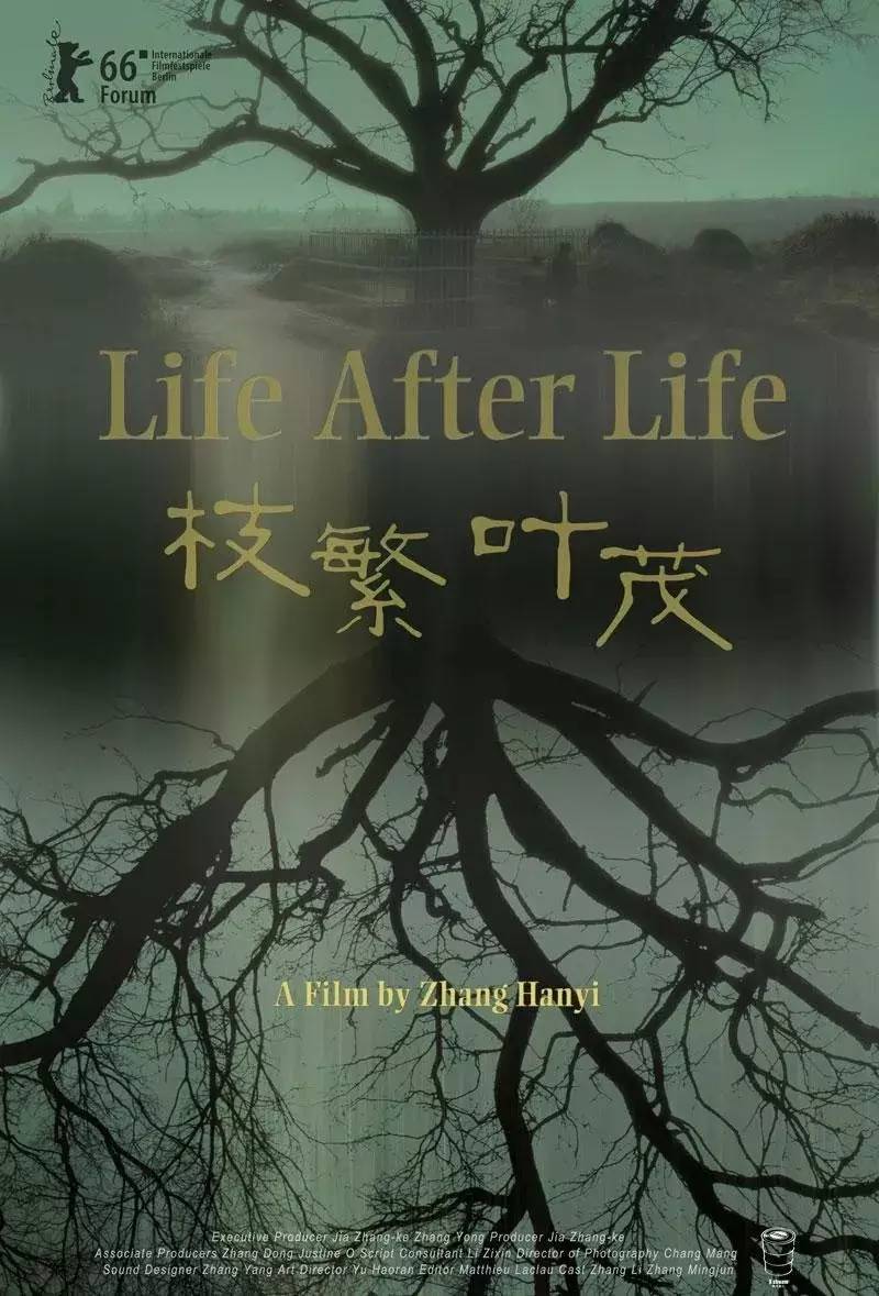 Жизнь после жизни (2016) постер
