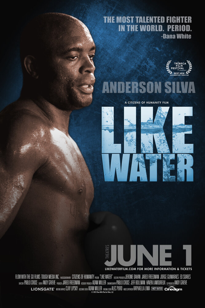 Как вода (2011) постер