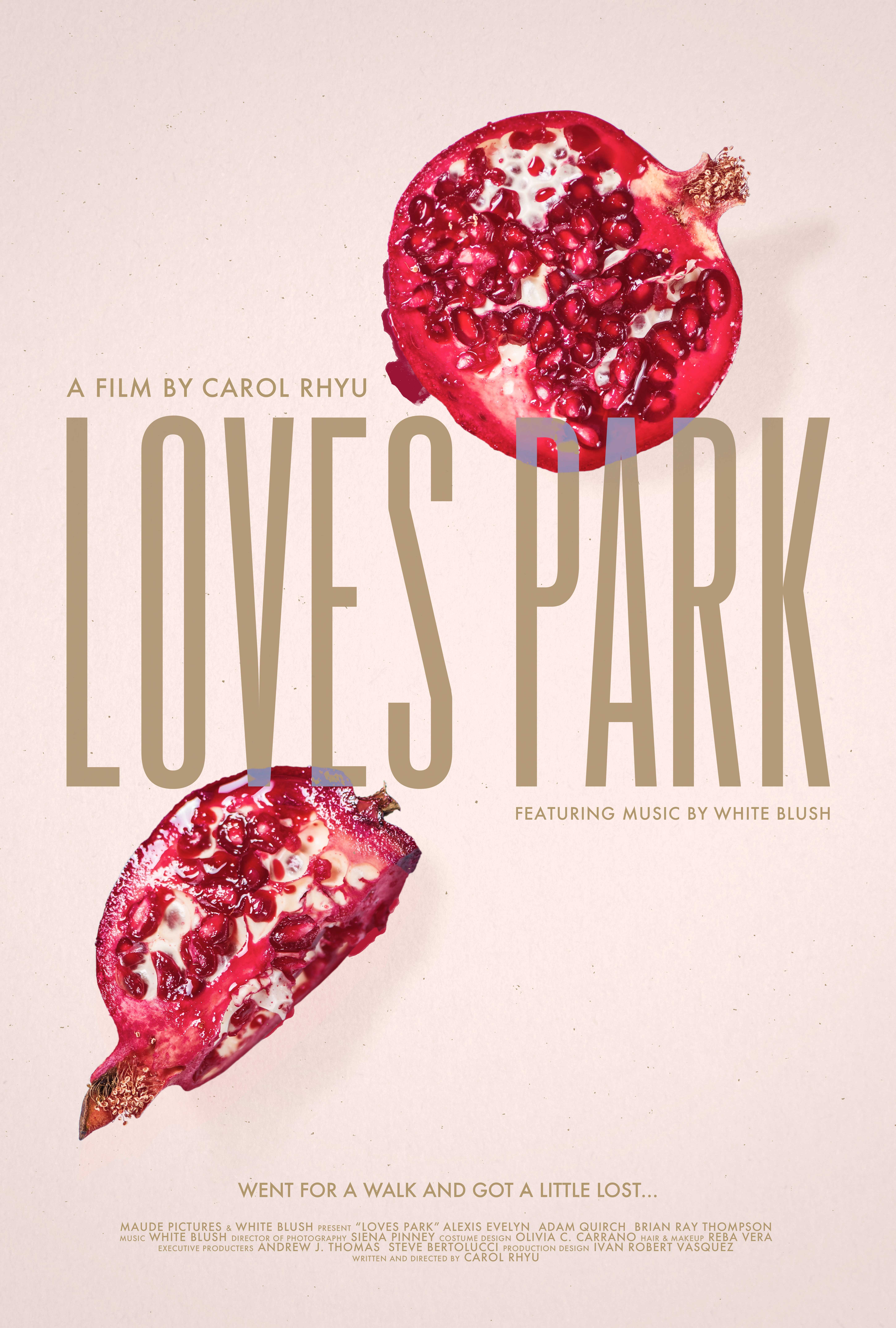 Loves Park (2017) постер