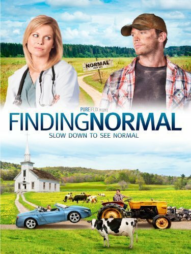 Finding Normal (2013) постер
