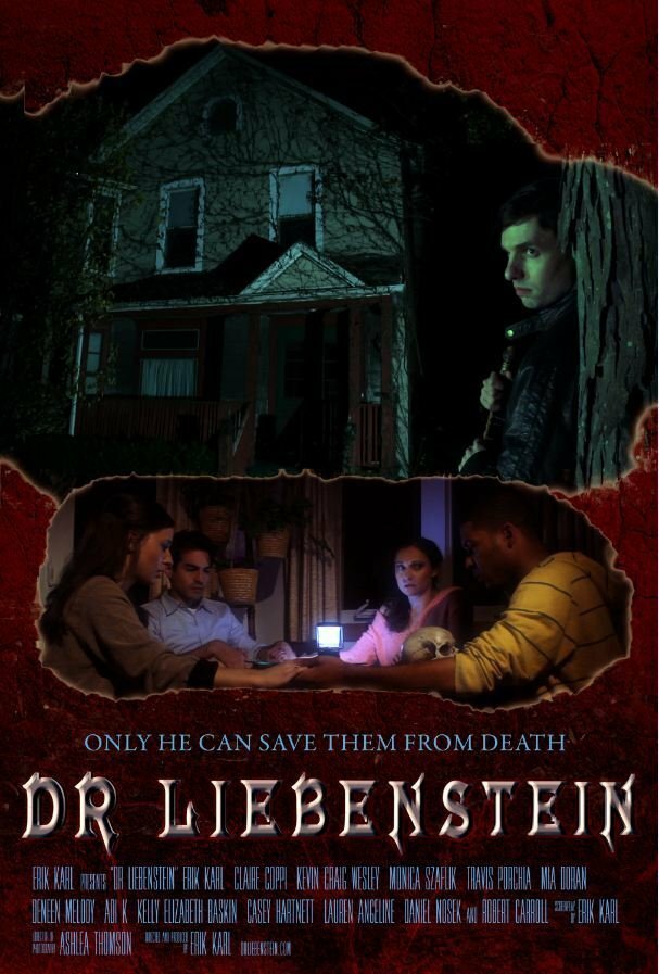 Dr Liebenstein (2014) постер