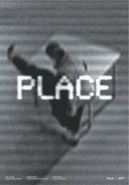 Place (2009) постер