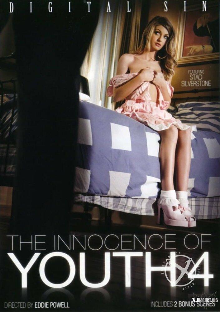 The Innocence of Youth 4 (2013) постер