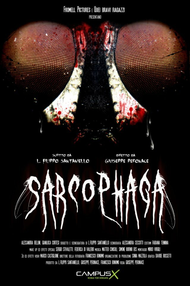 Саркофаг (2013) постер