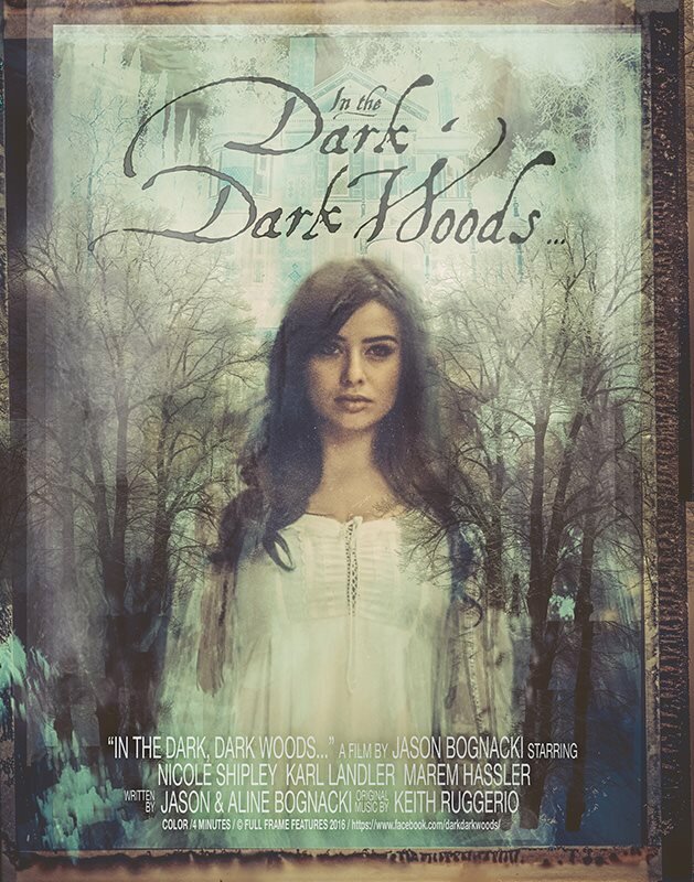 In the Dark Dark Woods... (2017) постер
