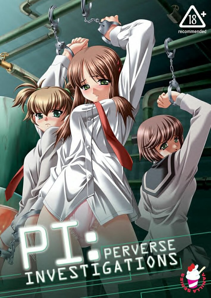 Perverse Investigations (2006) постер